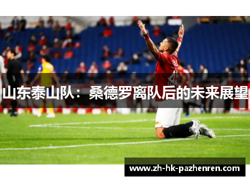 山东泰山队:桑德罗离队后的未来展望 山东泰山队:桑德罗离队后的未来展望
